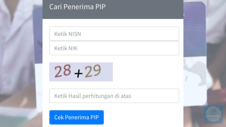 Cara Cek PIP 2024 Terbaru Lewat HP