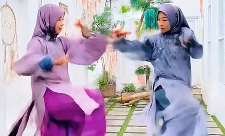 Hailuo AI: Aplikasi AI Viral di TikTok yang Mengubah Foto Jadi Video Kungfu