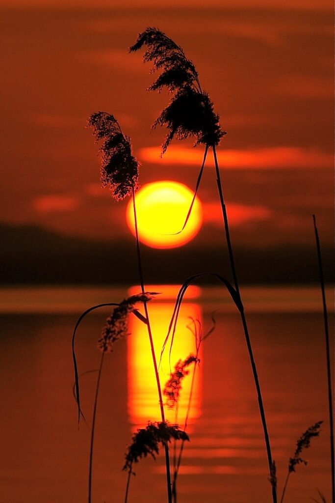 Senja di Ujung Batas