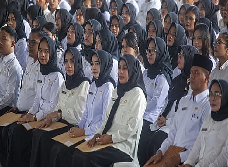 Batas Waktu Pengisian DRH PPPK Paruh Waktu 2024 Diperpanjang, Cek Besaran Gajinya